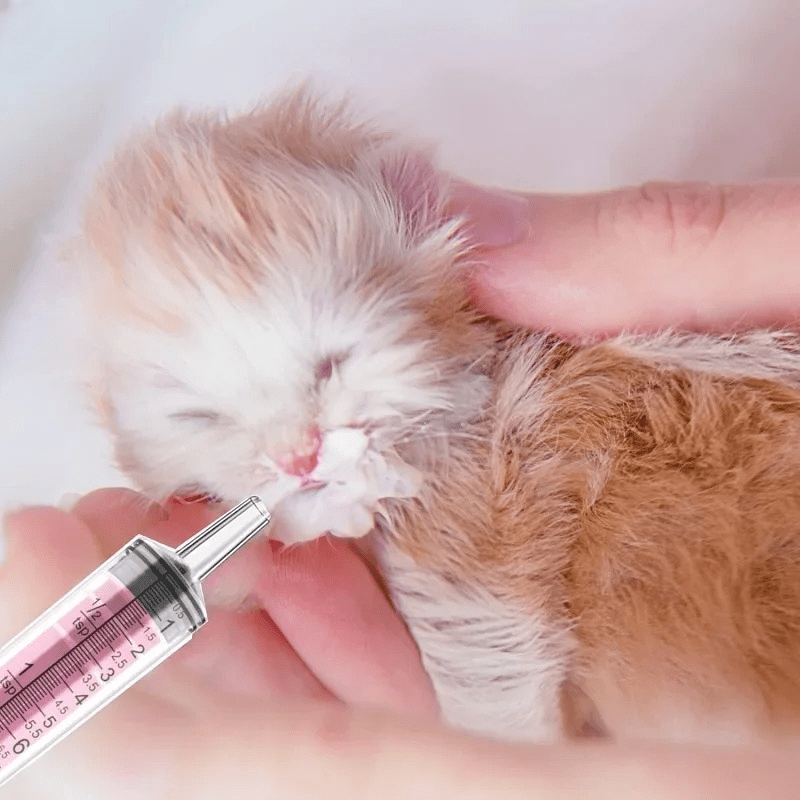 Seringue Alimentation - CatFeedingSyringe™ - Rose